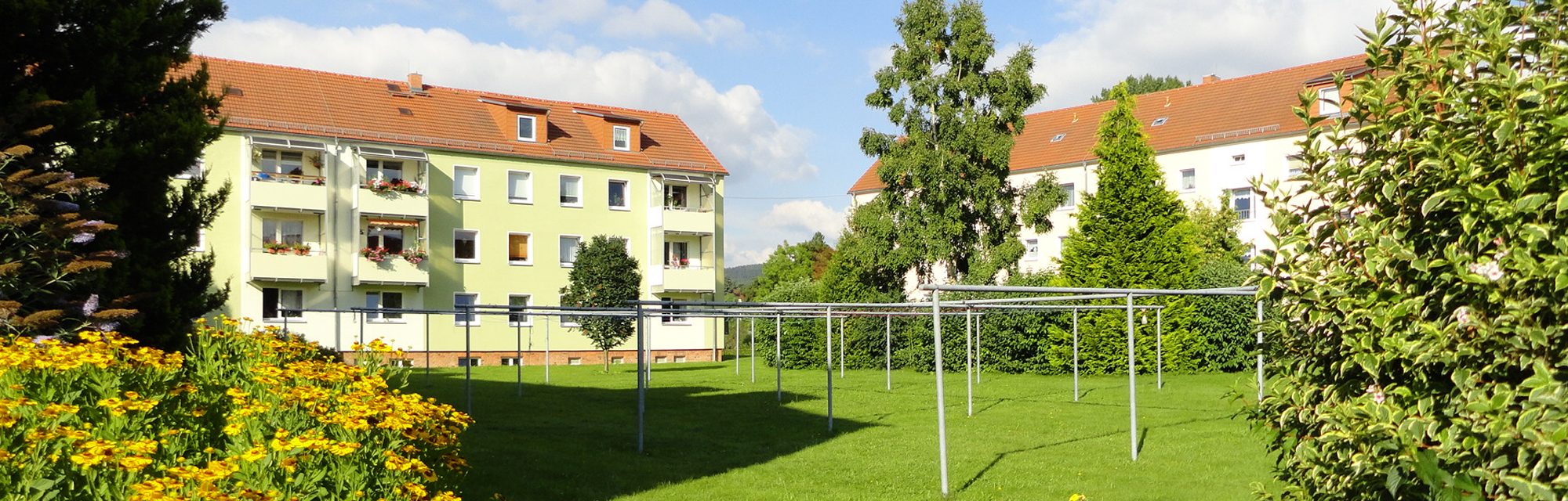 wohnungen in der wbg lohmen